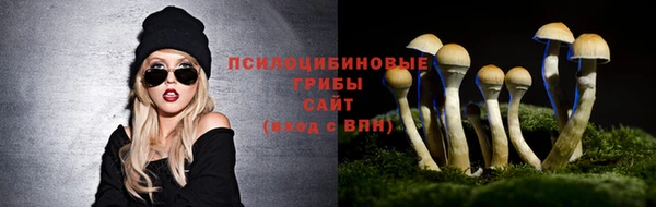 гидропоника Арсеньев